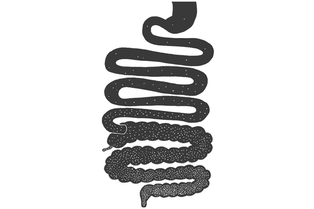 Bacteria population density in the different regions of the gut.   From Gut: The Inside Story of Our Body’s Most Underrated Organ by Giulia Enders, illustrated by Jill Enders