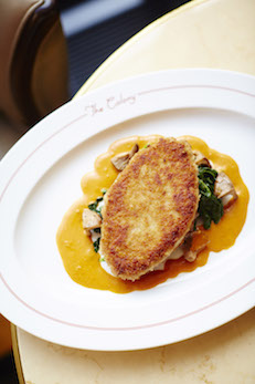 7842-colony-veal-pojarski-1-2mb