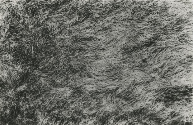 'Grass 1' (1967) by Barry Flanagan