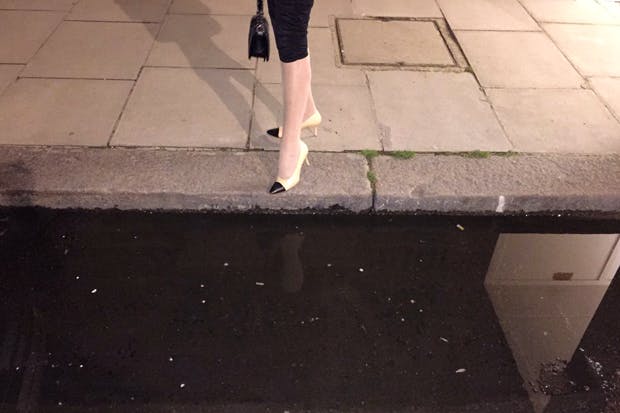 Puddlegate (Photo: Joan Collins)