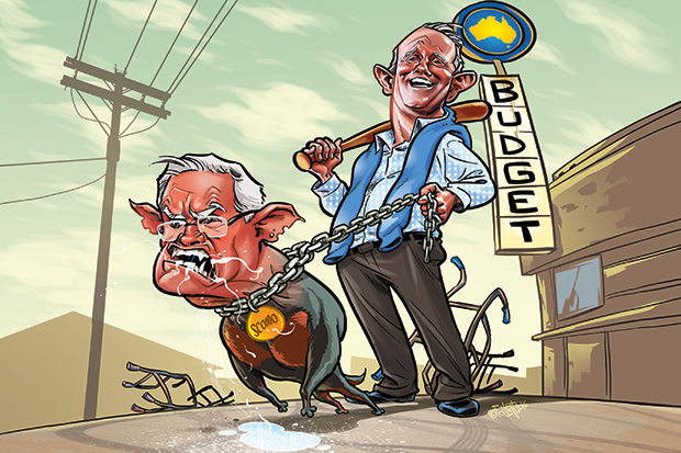 Cover by David Follett