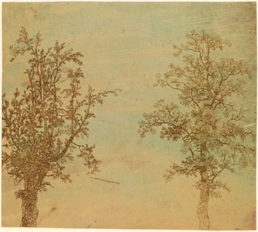 'The Two Trees (An Alder and an Ash)', c. 1625–1630, by Hercules Segers. Lift-ground etching. Photo: Rijksmuseum
