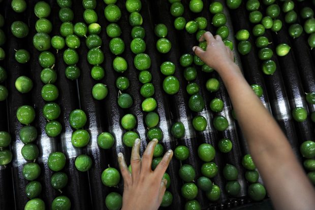 MEXICO-MICHOACAN-VIOLENCE